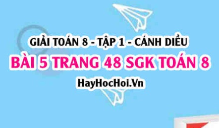 Giải bài 5 trang 48 Toán 8 Tập 1 SGK Cánh Diều